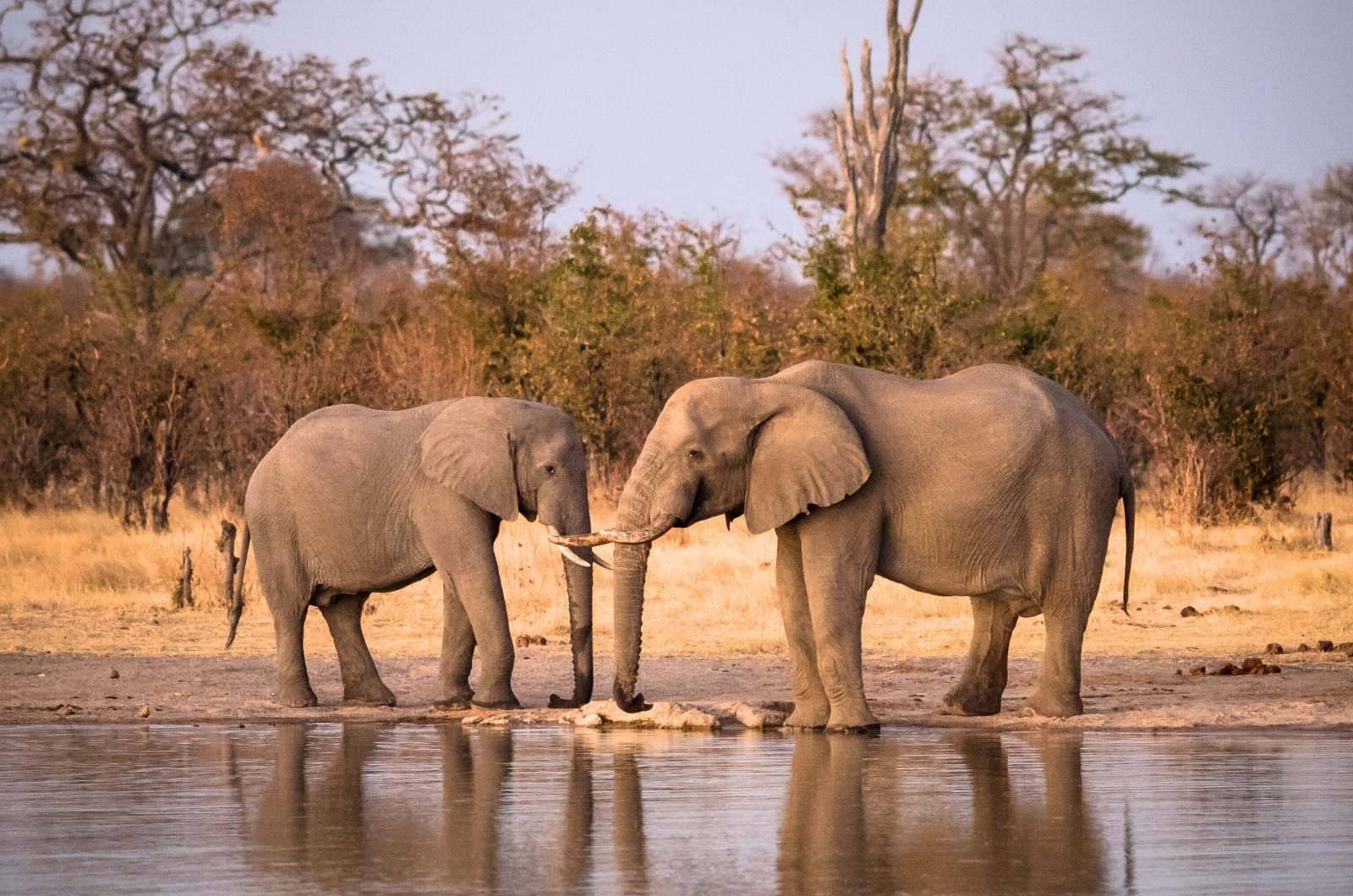 xr:d:DAFtsjQJNA0:86,j:7429090359376390218,t:23091310